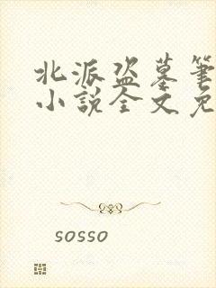 北派盗墓笔记 小说全文免费阅读