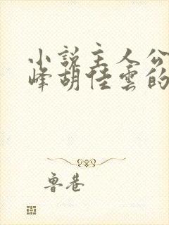 小说主人公叫秦峰胡佳云的小说