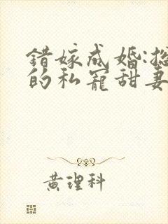 错嫁成婚:总裁的私宠甜妻
