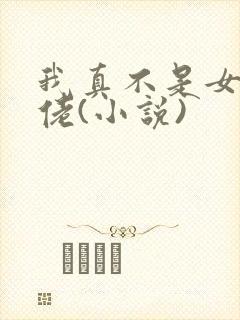 我真不是女装大佬(小说) 我真不是女装大佬(小说)
