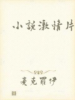 小说激情片段