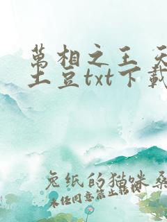 万相之王 天蚕土豆txt下载