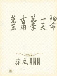 万古第一神小说主角李天命
