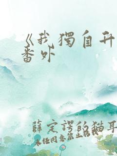 《我独自升级》番外