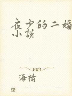 夜少的二婚新妻小说