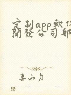 定制app软件开发公司那家好