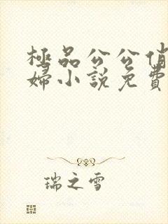 极品公公俏儿媳妇小说免费阅读