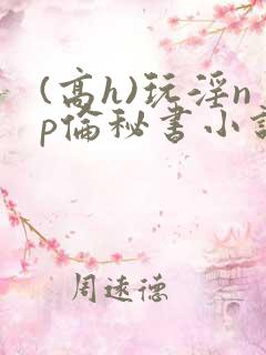 (高h)玩淫np伦秘书小说