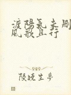 渡阳气未删减版风歌且行