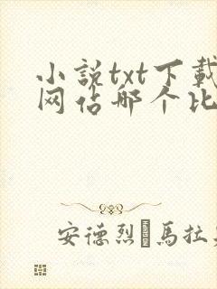 小说txt下载网站哪个比较好