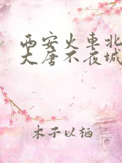 西安火车北站到大唐不夜城
