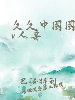 久久中国国产av人妻