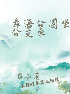 彝海公园坐几路公交车