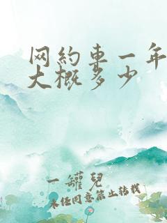 网约车一年保险大概多少
