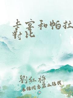 卡宴和帕拉梅拉对比