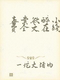 春棠欲醉小说免费全文在线阅读