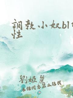 调教小奴bl双性