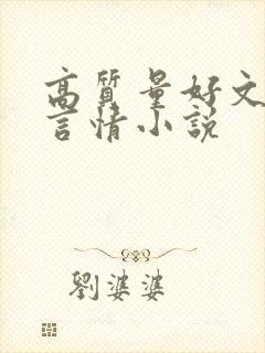 高质量好文笔的言情小说