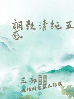 调教清纯五年有感