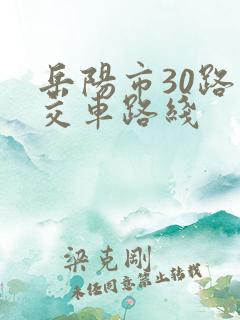 岳阳市30路公交车路线