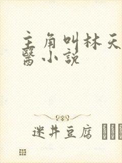 主角叫林天的神医小说