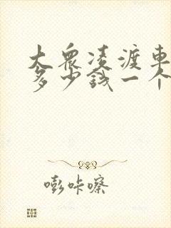 大众凌渡车钥匙多少钱一个