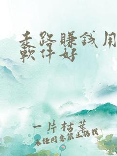 走路赚钱用什么软件好