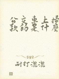 公交车上扫码付款的是什么软件