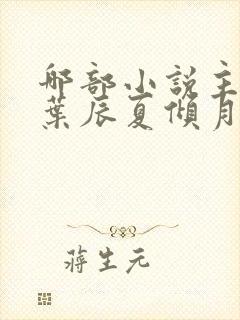 哪部小说主角叫叶辰夏倾月