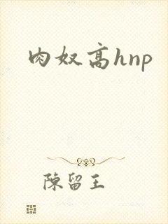 肉奴高hnp 肉奴高hnp