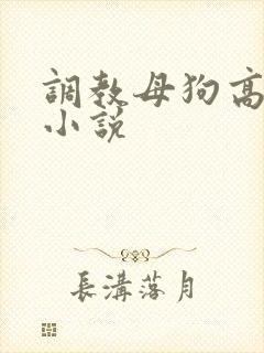 调教母狗高中生小说