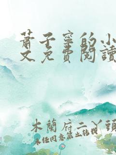 萧子宁的小说全文免费阅读无弹窗