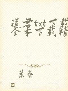 道君txt下载全本下载精校
