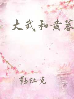 大武和黄蓉小说