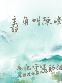 主角叫陈峰的小说 主角叫陈峰的小说