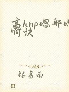 高hnp嗯哪嗯啊快