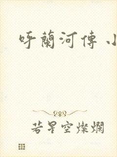 呼兰河传 小说