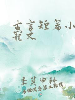 古言短篇小说甜宠文