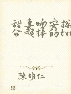 甜妻吻安总裁老公超棒的txt下载