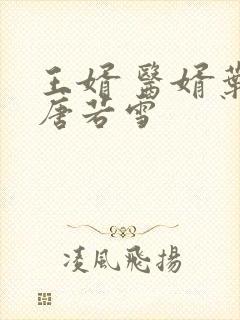 王婿 医婿叶凡唐若雪