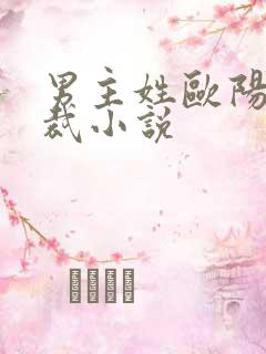男主姓欧阳的总裁小说
