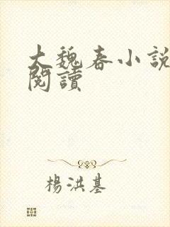 大魏春小说在线阅读