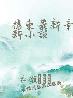 杨东最新章节更新小说