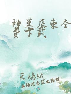 神墓辰东全本免费下载 神墓辰东全本免费下载