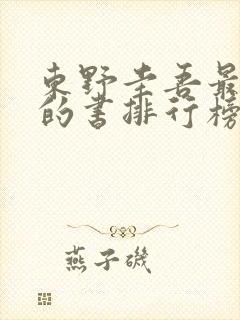 东野圭吾最好看的书排行榜