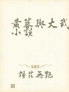 黄蓉与大武小武小说