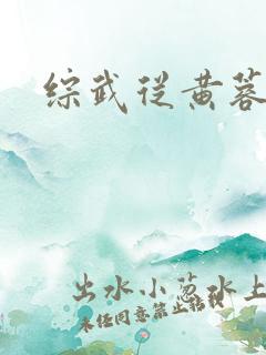 综武从黄蓉开始 综武从黄蓉开始