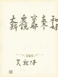 大众宝来和朗逸新锐哪个好