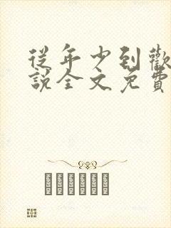 从年少到欢喜小说全文免费阅读无弹窗