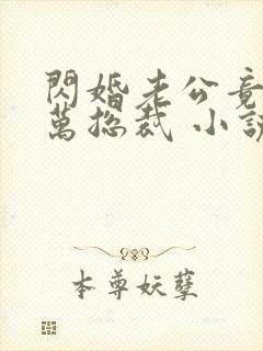 闪婚老公竟是亿万总裁 小说